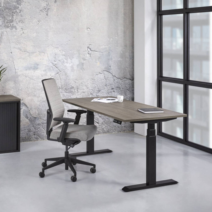 Zit Sta Bureau Basic Elektrisch-2