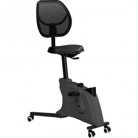 Bureaufiets Ross-1