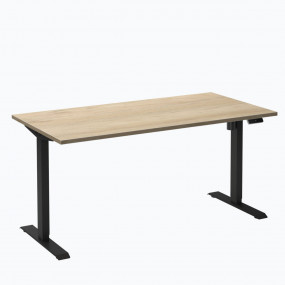 Elektrisch Zit-Sta Bureau