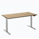 Zit sta bureau elektrisch 160x80