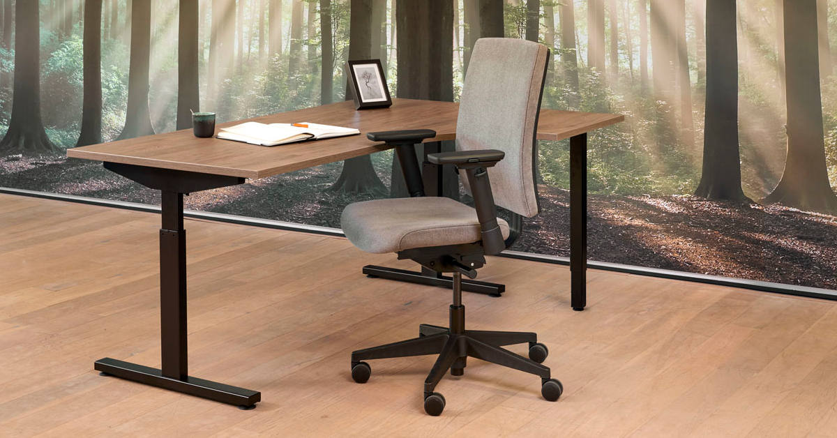 ergonomische thuiswerkplek inrichten